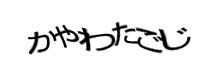 Authentication image
